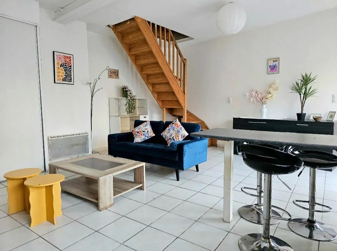 Quartier Episcopal 56M2 Proche Passerelle Et Cathedrale Albi