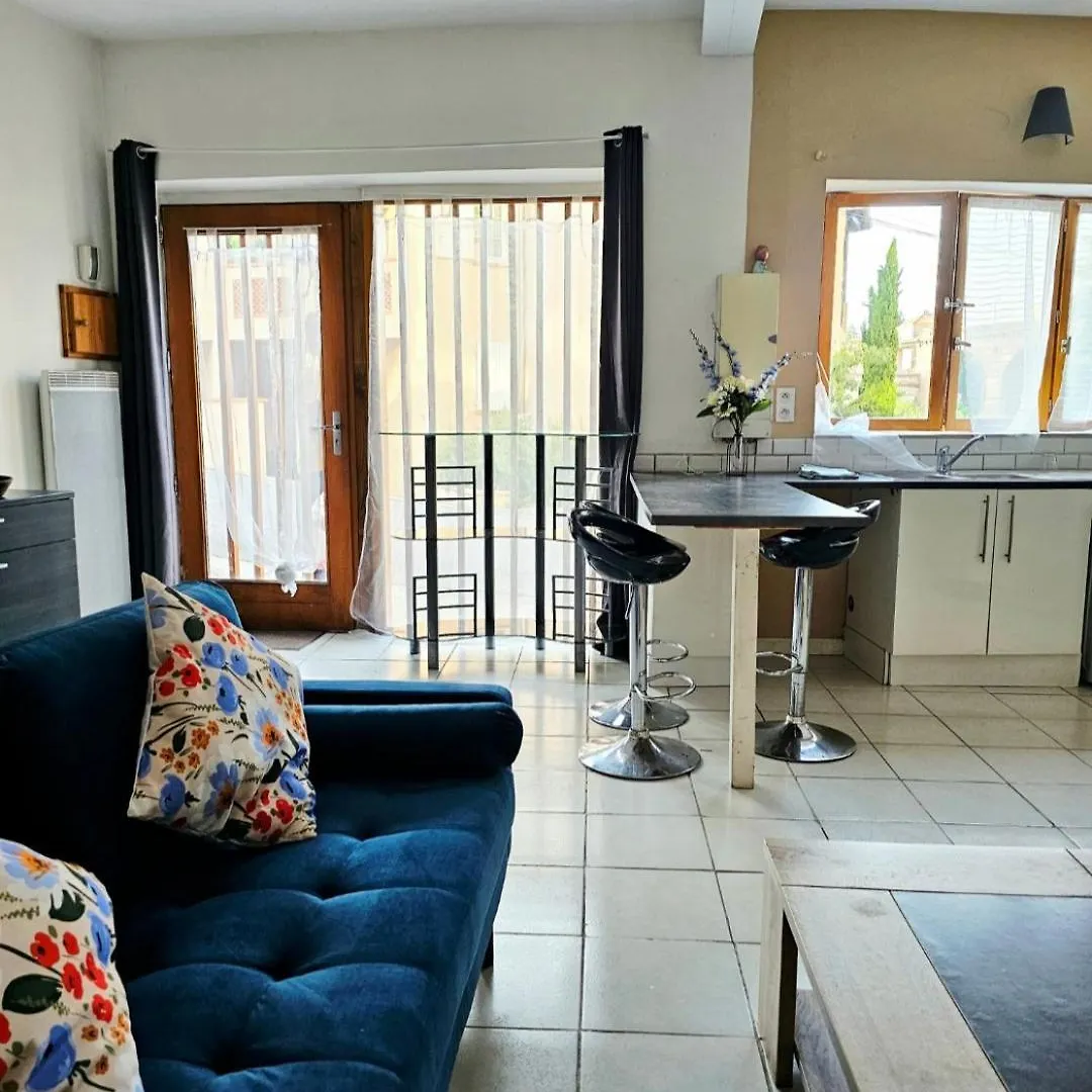 Ferienhaus Quartier Episcopal 56M2 Proche Passerelle Et Cathedrale Albi