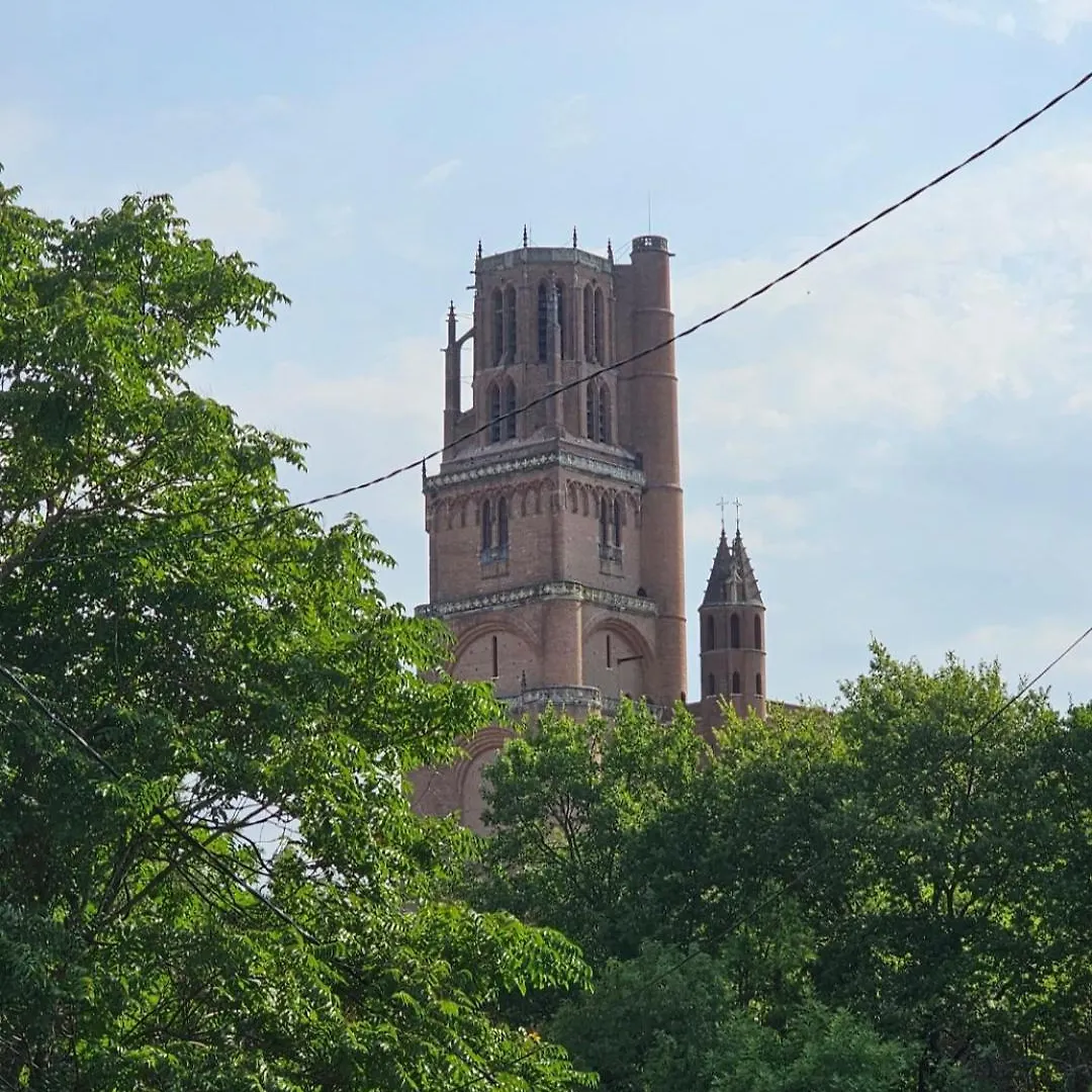 Quartier Episcopal 56M2 Proche Passerelle Et Cathedrale Albi Ferienhaus
